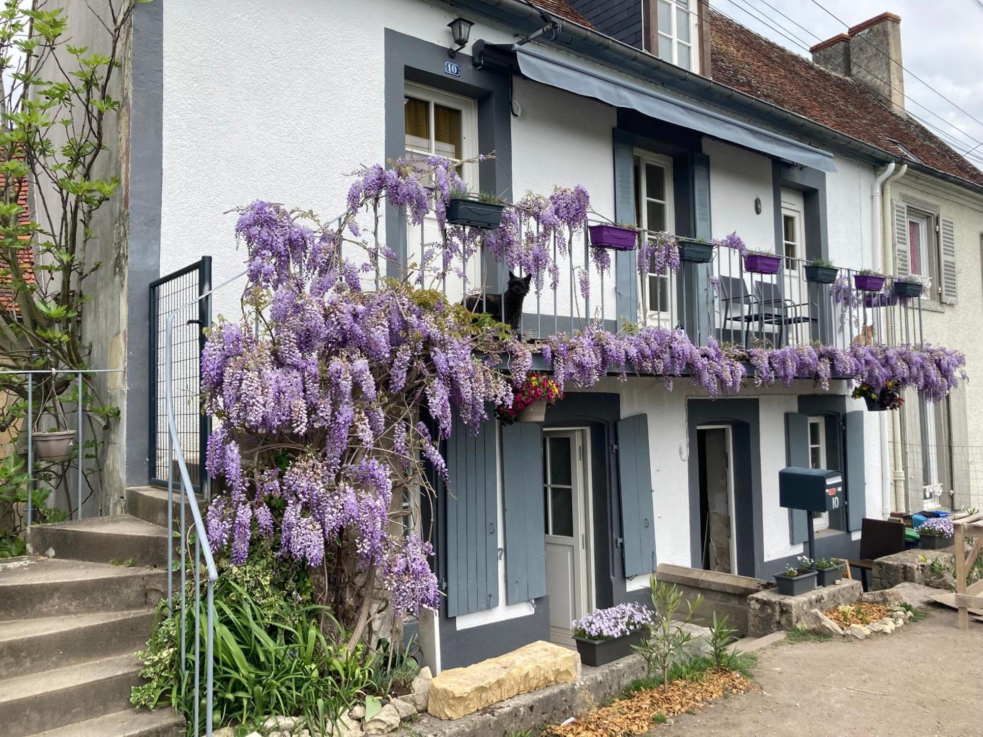 Le Lodge De Serenite Cuffy Εξωτερικό φωτογραφία