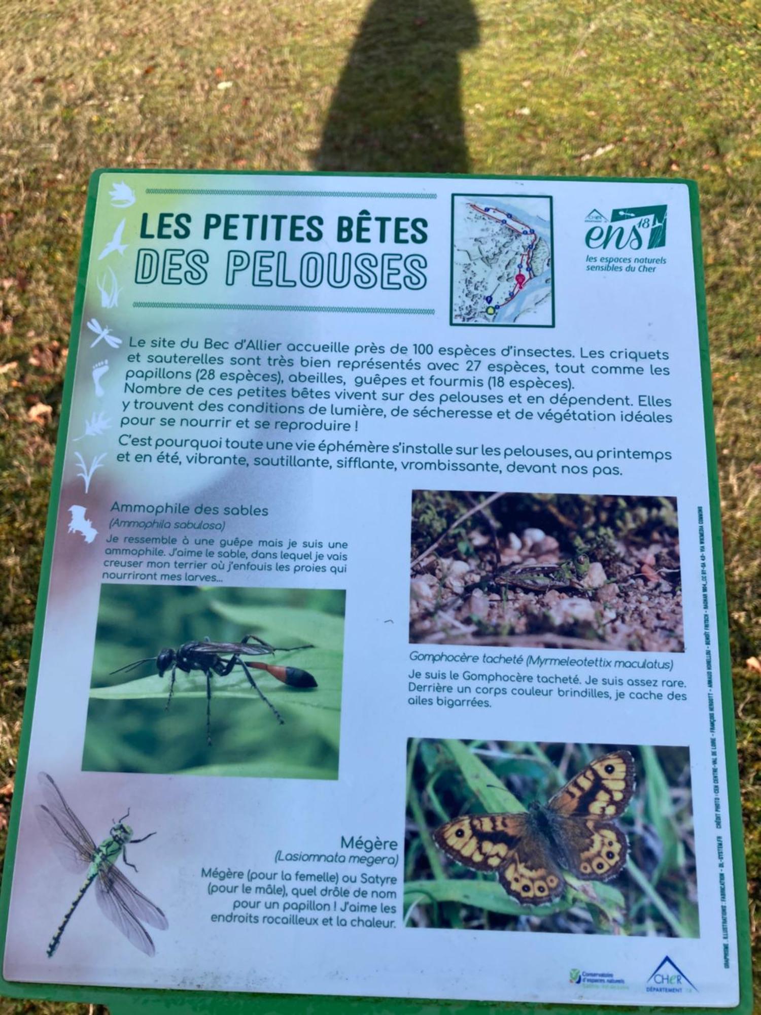 Le Lodge De Serenite Cuffy Εξωτερικό φωτογραφία